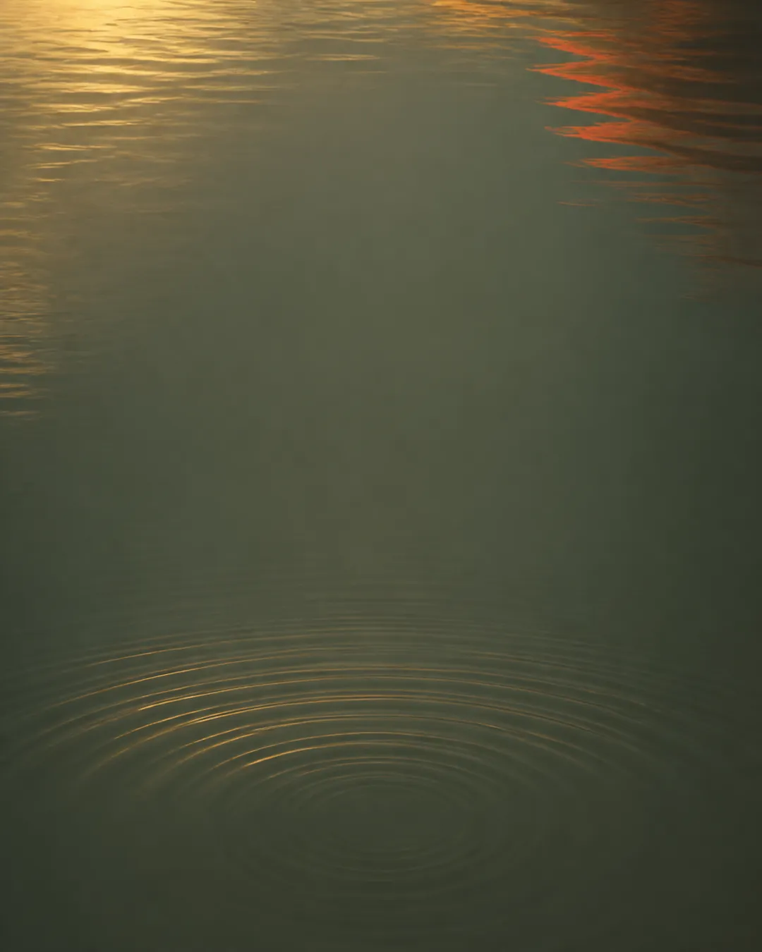 Still water at dusk, lit low and gold, with concentric ripples spreading out from a single point.